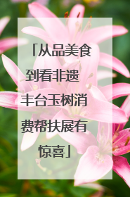 从品美食到看非遗 丰台玉树消费帮扶展有惊喜