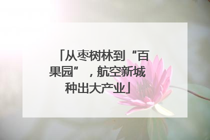 从枣树林到“百果园”，航空新城种出大产业