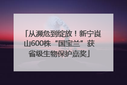 从濒危到绽放！新宁崀山600株“国宝兰”获省级生物保护嘉奖