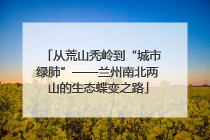 从荒山秃岭到“城市绿肺”——兰州南北两山的生态蝶变之路
