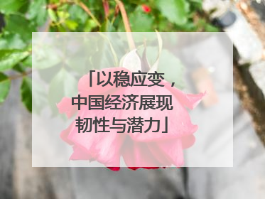 以稳应变,中国经济展现韧性与潜力