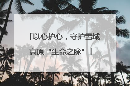 以心护心，守护雪域高原“生命之脉”