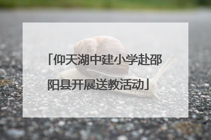 仰天湖中建小学赴邵阳县开展送教活动