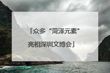 众多“菏泽元素”亮相深圳文博会