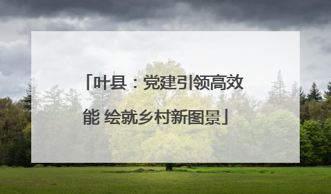 叶县：党建引领高效能 绘就乡村新图景