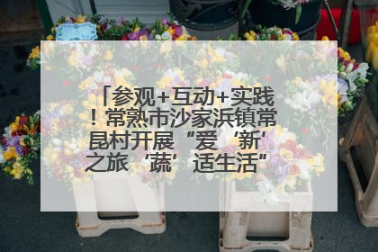 参观+互动+实践！常熟市沙家浜镇常昆村开展“爱‘新’之旅‘蔬’适生活”参观学习活动