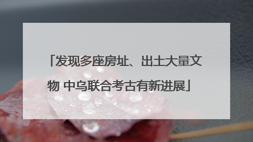 发现多座房址、出土大量文物 中乌联合考古有新进展