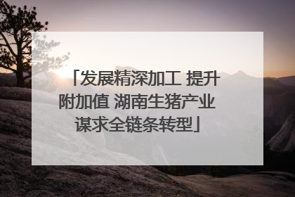 发展精深加工 提升附加值 湖南生猪产业谋求全链条转型
