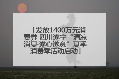 发放1400万元消费券 四川遂宁“清凉消夏·遂心遂意”夏季消费季活动启动
