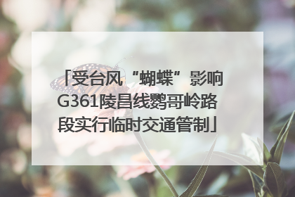 受台风“蝴蝶”影响 G361陵昌线鹦哥岭路段实行临时交通管制