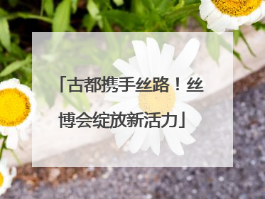 古都携手丝路！丝博会绽放新活力