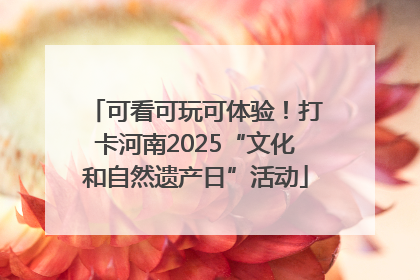 可看可玩可体验！打卡河南2025“文化和自然遗产日”活动