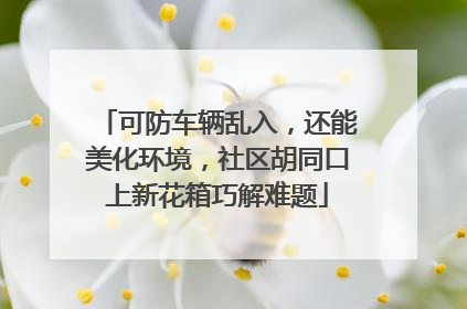 可防车辆乱入，还能美化环境，社区胡同口上新花箱巧解难题