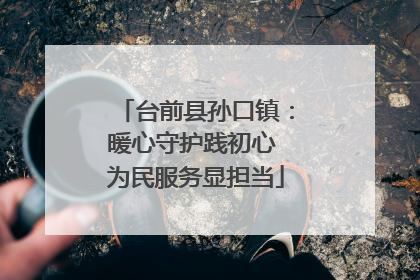 台前县孙口镇：暖心守护践初心 为民服务显担当