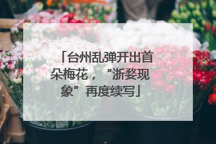 台州乱弹开出首朵梅花，“浙婺现象”再度续写