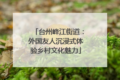 台州峰江街道：外国友人沉浸式体验乡村文化魅力