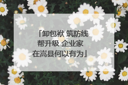 卸包袱 筑防线 帮升级 企业家在嵩县何以有为