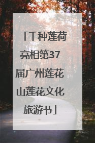 千种莲荷亮相第37届广州莲花山莲花文化旅游节