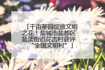 千亩葵园绽放文明之花！盐城市盐都区盐渎街道花吉村获评“全国文明村”
