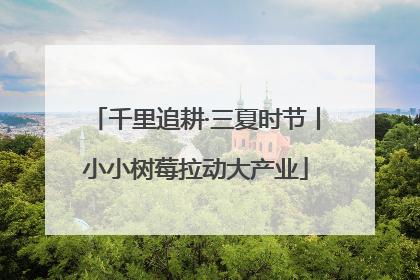 千里追耕·三夏时节丨小小树莓拉动大产业