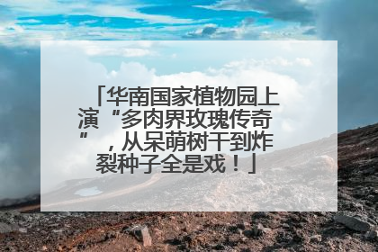 华南国家植物园上演“多肉界玫瑰传奇”，从呆萌树干到炸裂种子全是戏！