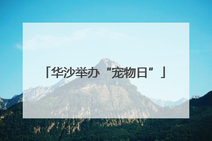 华沙举办“宠物日”
