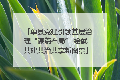 单县党建引领基层治理“谋篇布局” 绘就共建共治共享新图景