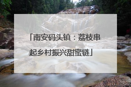 南安码头镇：荔枝串起乡村振兴甜蜜链