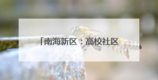 南海新区：高校社区开展中外文化交流