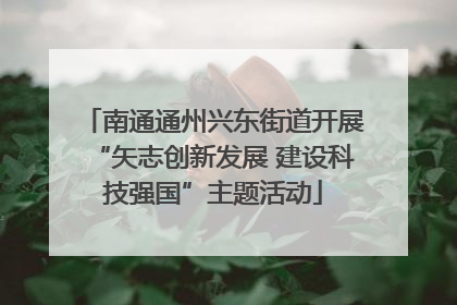 南通通州兴东街道开展“矢志创新发展 建设科技强国”主题活动
