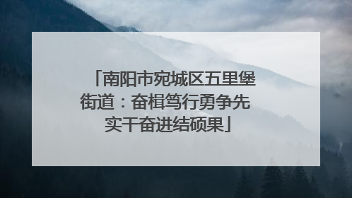 南阳市宛城区五里堡街道：奋楫笃行勇争先 实干奋进结硕果