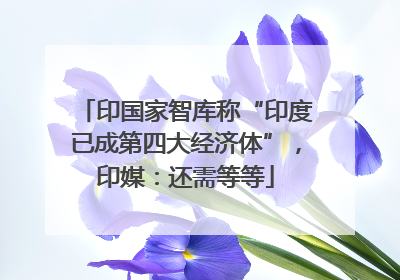 印国家智库称“印度已成第四大经济体”，印媒：还需等等