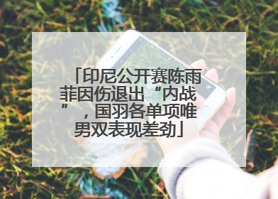 印尼公开赛陈雨菲因伤退出“内战”，国羽各单项唯男双表现差劲