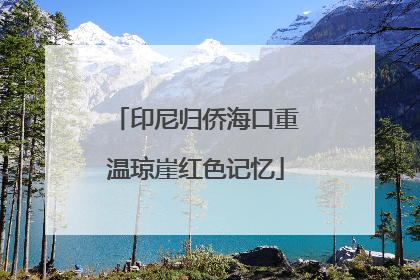 印尼归侨海口重温琼崖红色记忆
