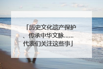历史文化遗产保护、传承中华文脉……代表们关注这些事