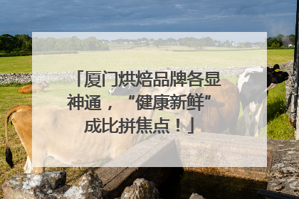 厦门烘焙品牌各显神通，“健康新鲜”成比拼焦点！