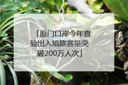 厦门口岸今年查验出入境旅客量突破200万人次
