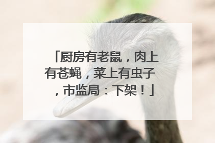 厨房有老鼠，肉上有苍蝇，菜上有虫子，市监局：下架！
