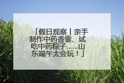 假日观察丨亲手制作中药香囊、试吃中药粽子……山东端午太会玩！