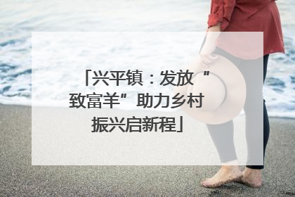 兴平镇：发放“致富羊”助力乡村振兴启新程