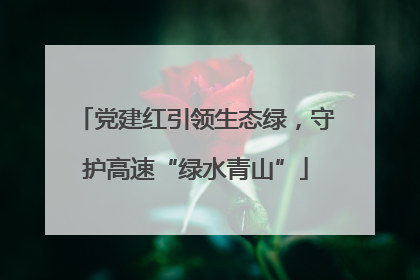 党建红引领生态绿，守护高速“绿水青山”