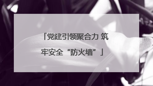 党建引领聚合力 筑牢安全“防火墙”