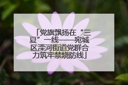 党旗飘扬在“三夏”一线——宛城区溧河街道党群合力筑牢禁烧防线