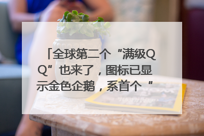 全球第二个“满级QQ”也来了，图标已显示金色企鹅，系首个“满级QQ”的小号