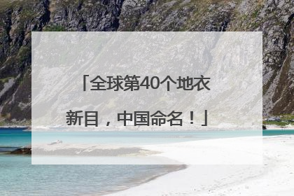 全球第40个地衣新目，中国命名！