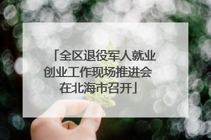 全区退役军人就业创业工作现场推进会在北海市召开