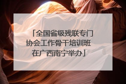 全国省级残联专门协会工作骨干培训班在广西南宁举办