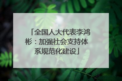全国人大代表李鸿彬：加强社会支持体系规范化建设