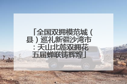全国双拥模范城（县）巡礼新疆沙湾市：天山北麓双拥花 五届蝉联铸辉煌