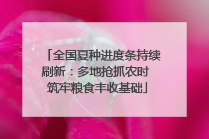全国夏种进度条持续刷新：多地抢抓农时 筑牢粮食丰收基础